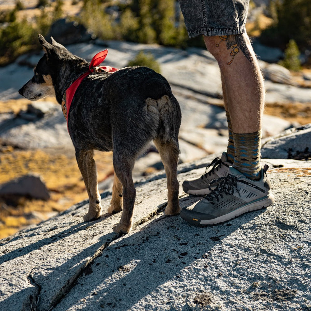 Trail 2650 Charcoal/Goblin Blue | Danner On Sale