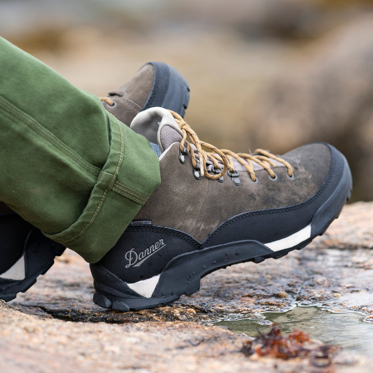 Panorama Low 4" Black Olive | Danner Discount