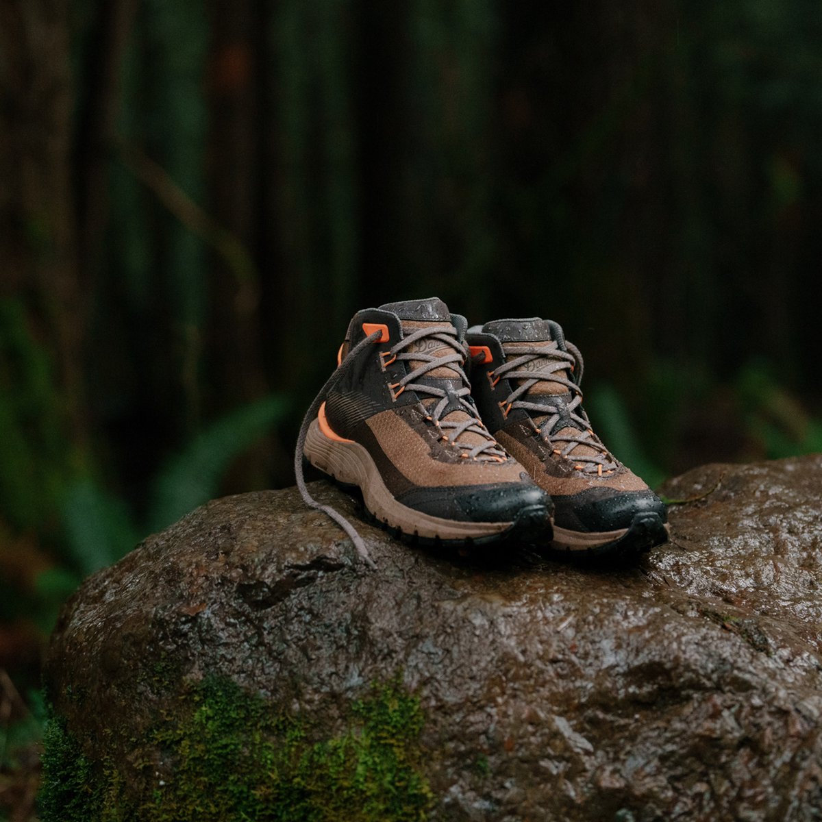 Trail Junction Malt Brown/Poppy Orange | Danner