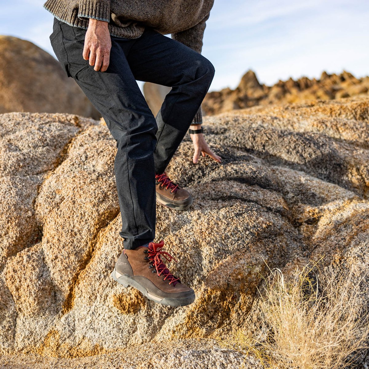 Panorama Mid Pinecone Brown/Bossa Nova | Danner