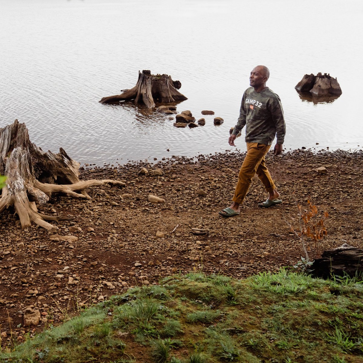 Shelter Cove Forest | Danner
