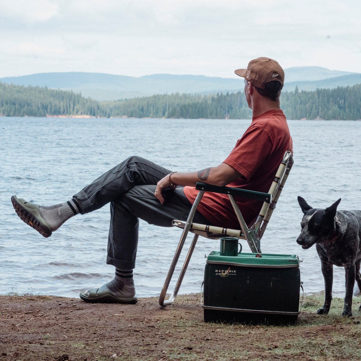Shelter Cove Forest | Danner