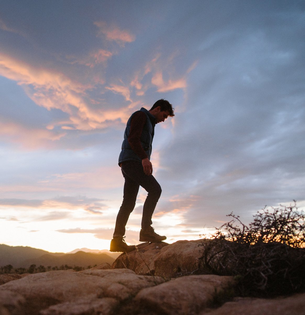 Skyridge Dark Earth | Danner Discount