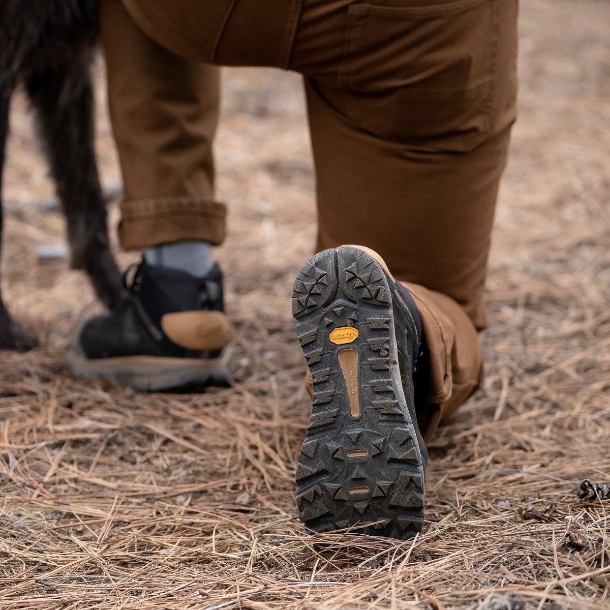 Danner X Filson Trail 2650 Mid GTX Jet Black | Danner On Sale