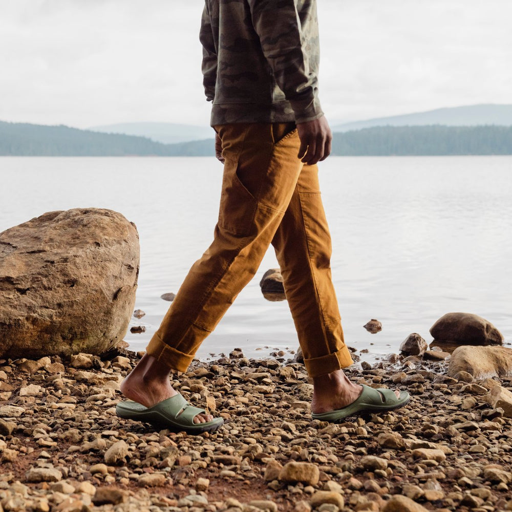 Shelter Cove Forest | Danner