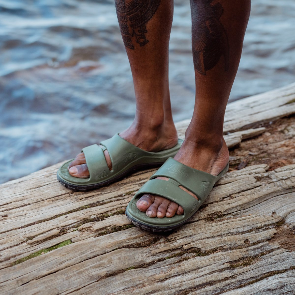 Shelter Cove Forest | Danner