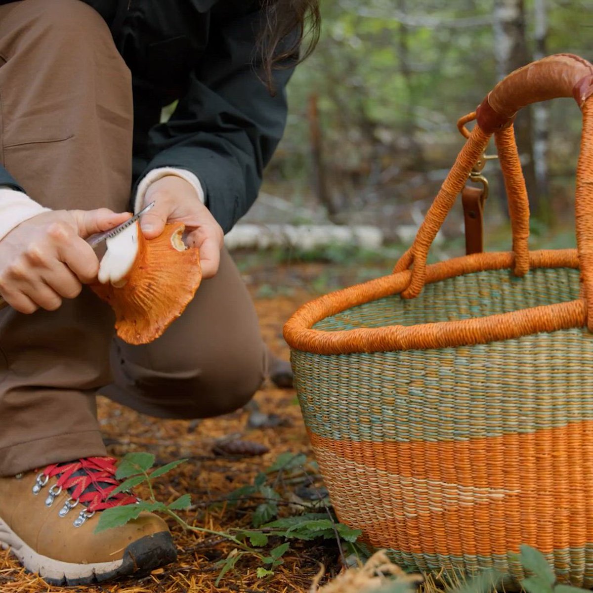 Boulder Ridge Pants Dusty Olive | Danner On Sale