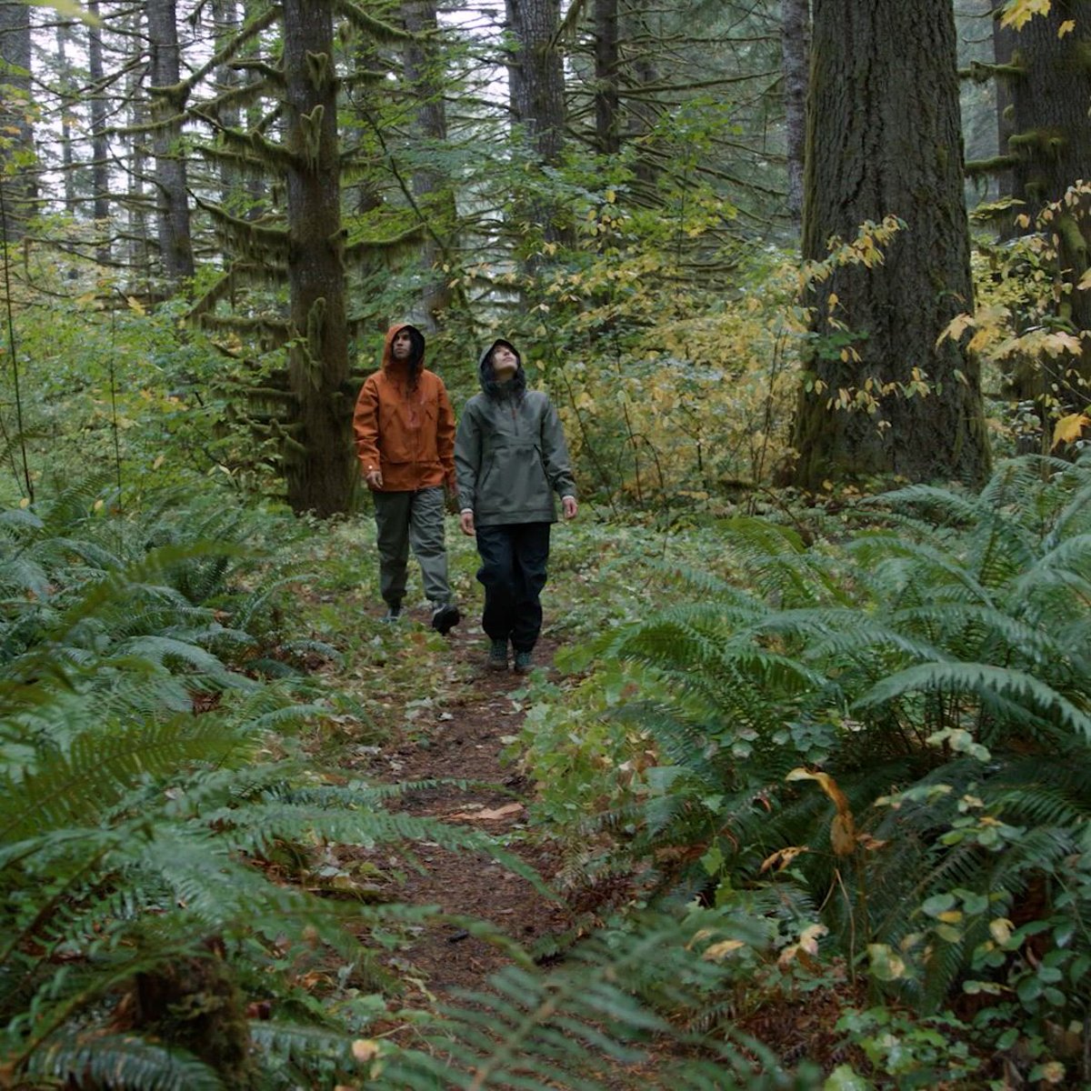 Cascade Crest Packable GTX Pants Dusty Olive | Danner
