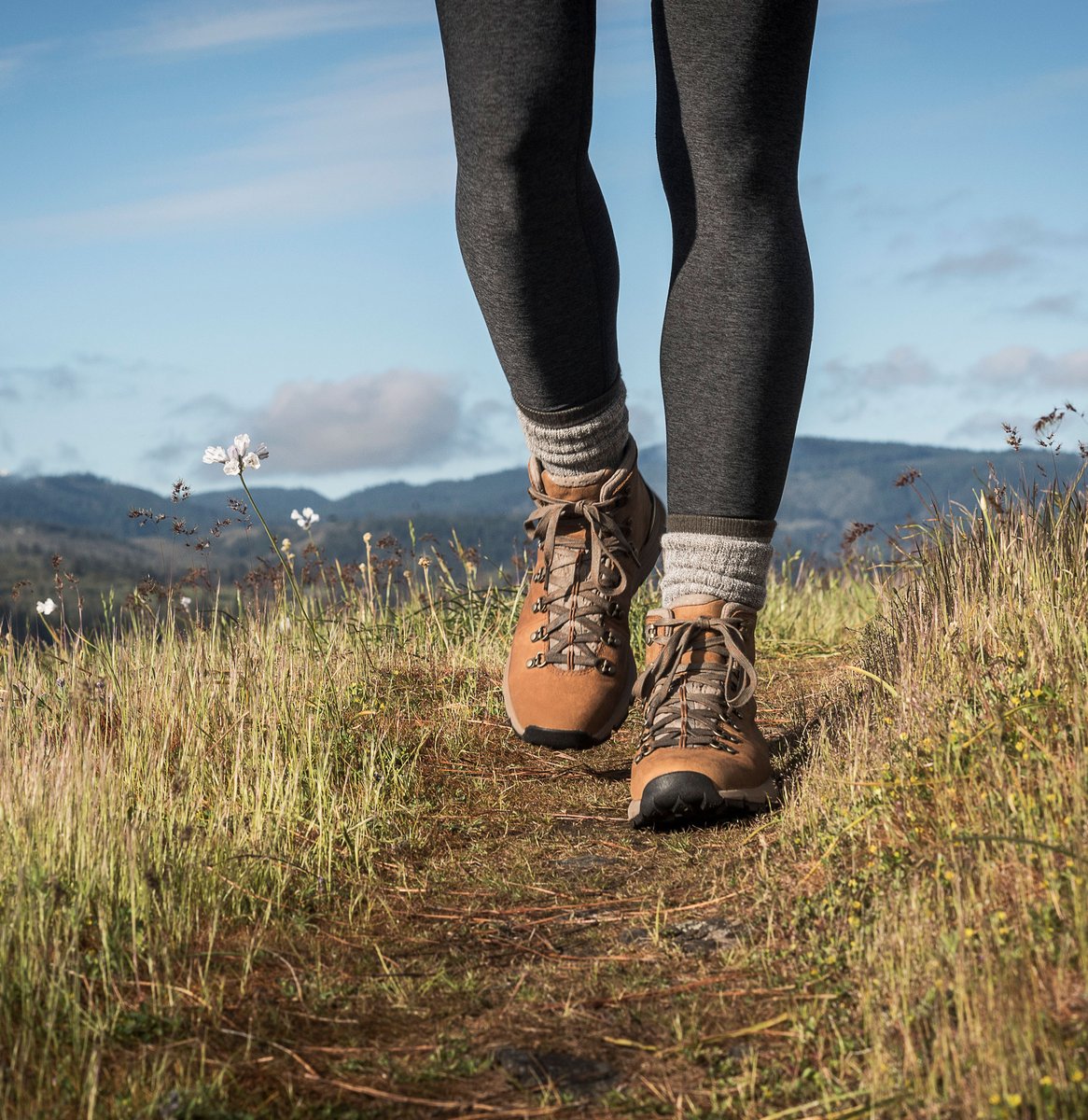 Mountain 600 Rich Brown | Danner Discount