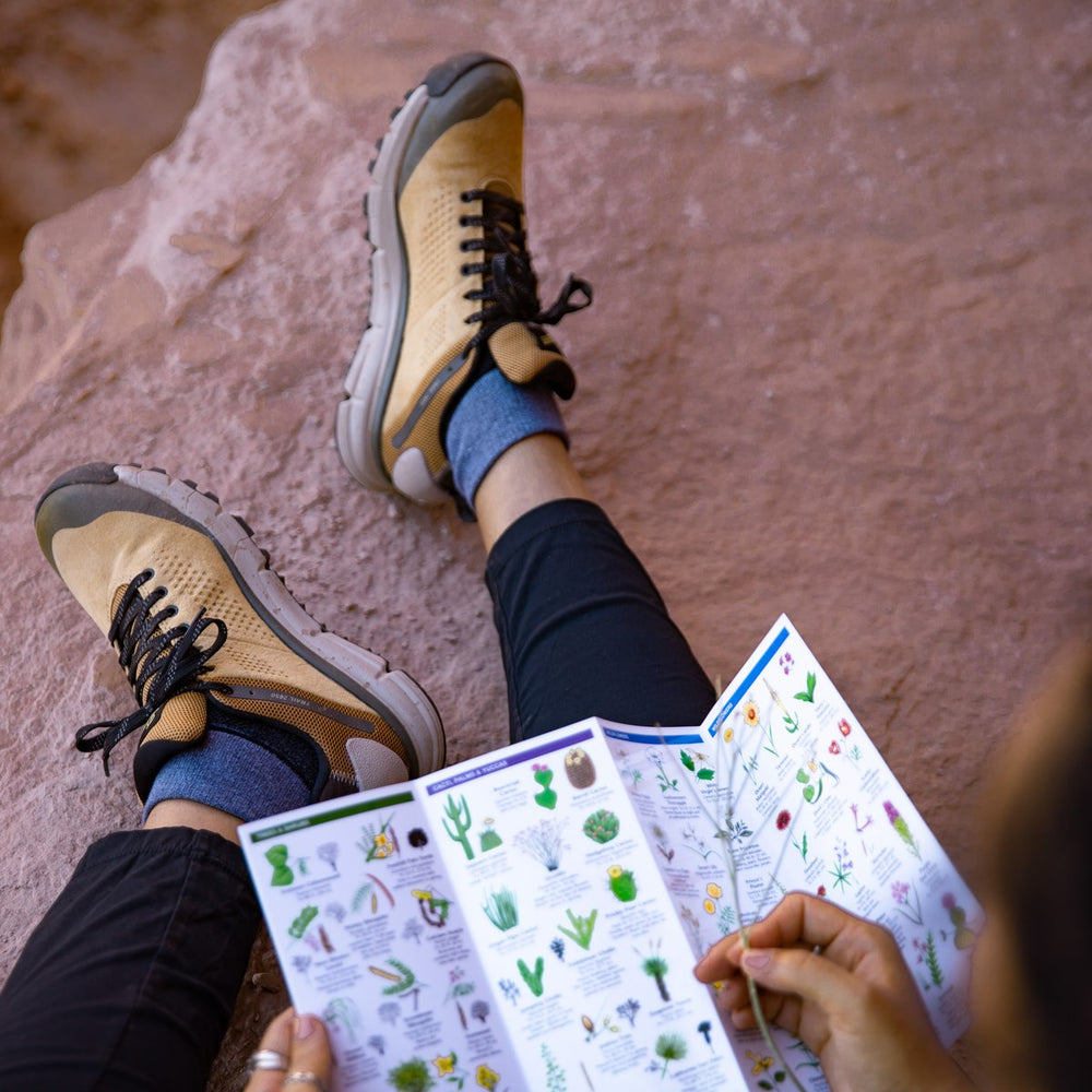Trail 2650 GTX Prairie Sand/Gray | Danner For Sale