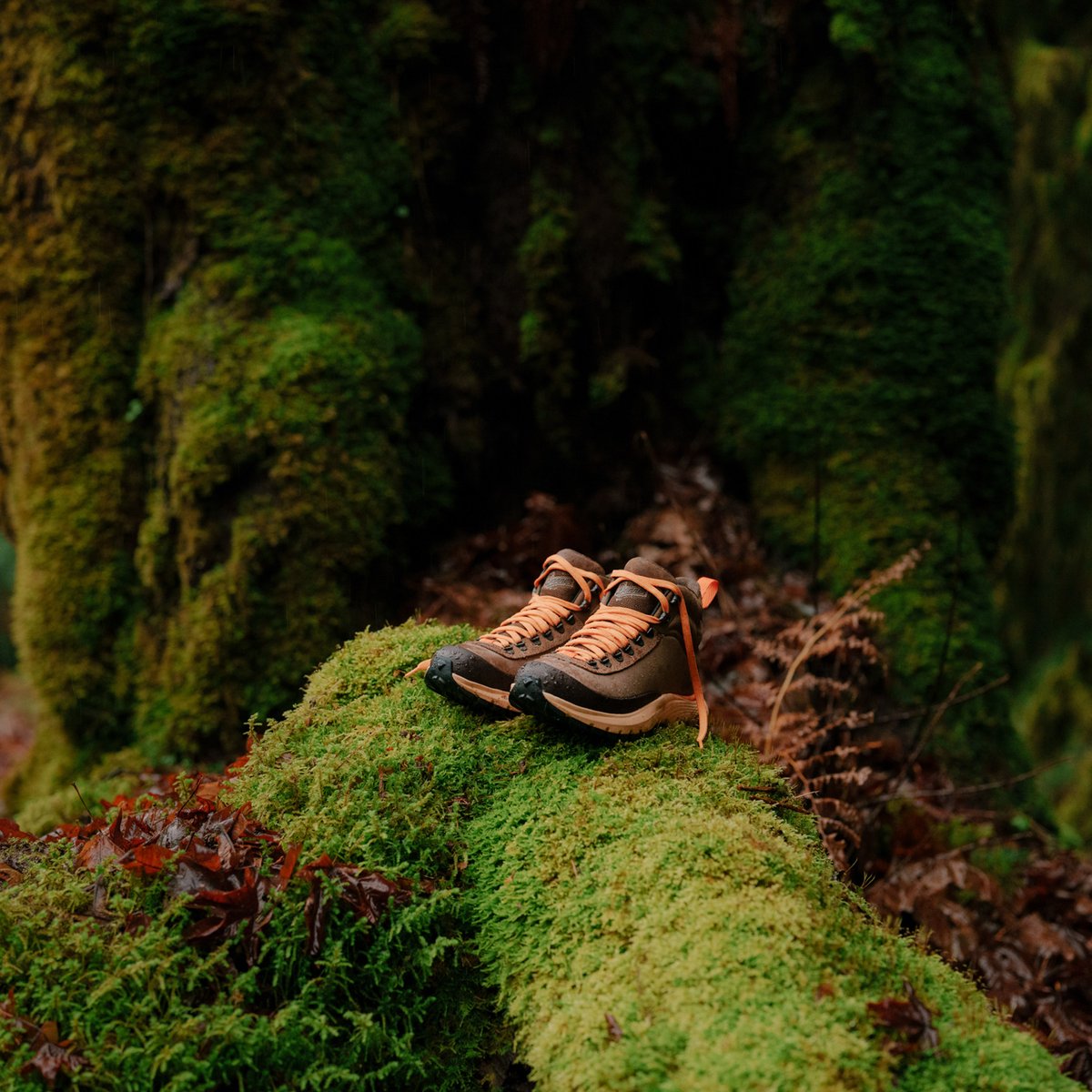 Trail Trainer Malt Brown/Orange Peel | Danner Discount
