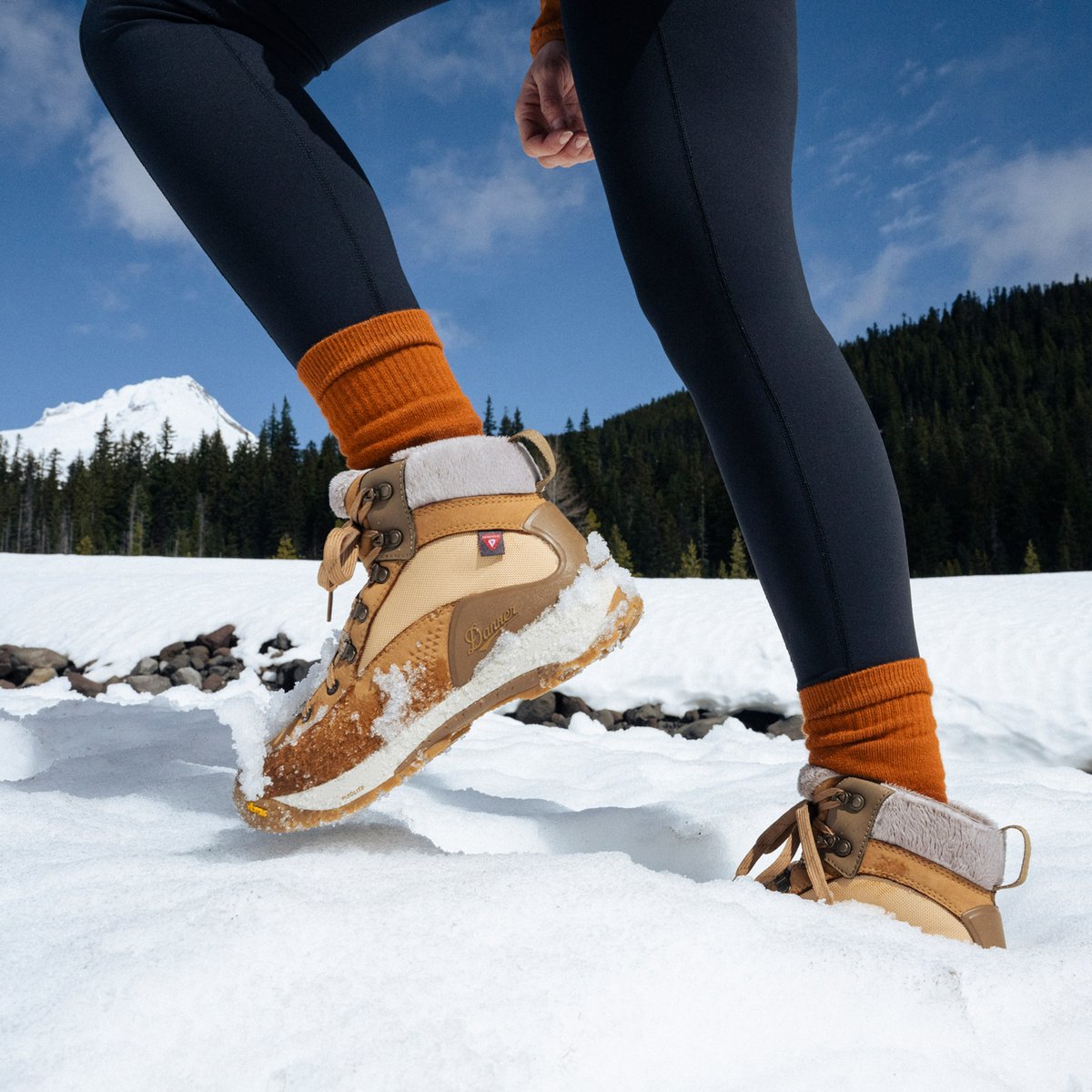 Inquire Winter Bone Brown/Coyote 200G | Danner Discount
