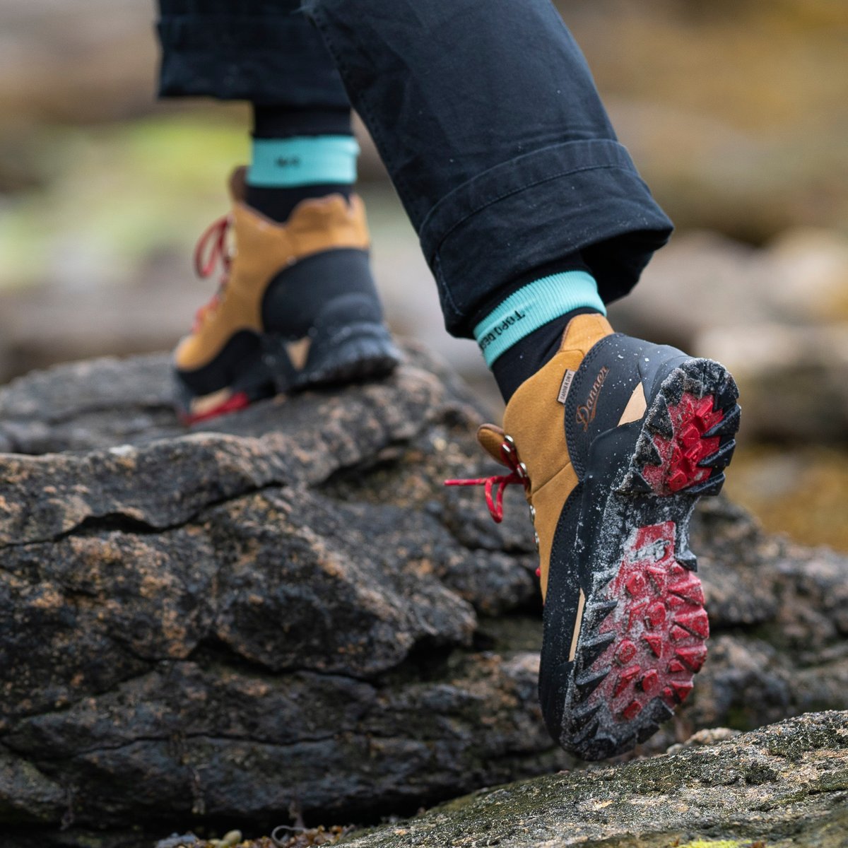Panorama Mid 6" Brown/Red | Danner On Sale