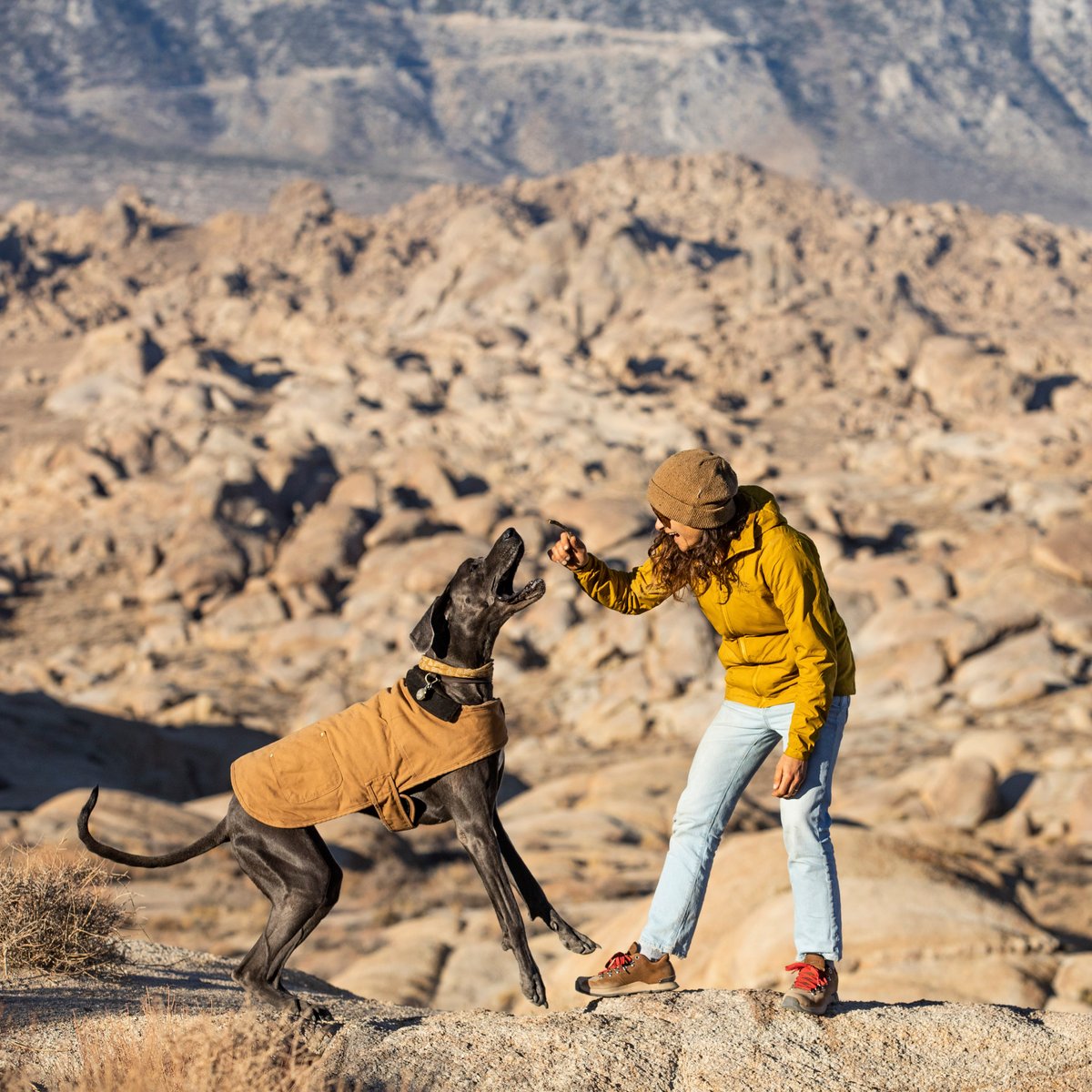 Mountain Overlook Monk's Robe | Danner For Sale