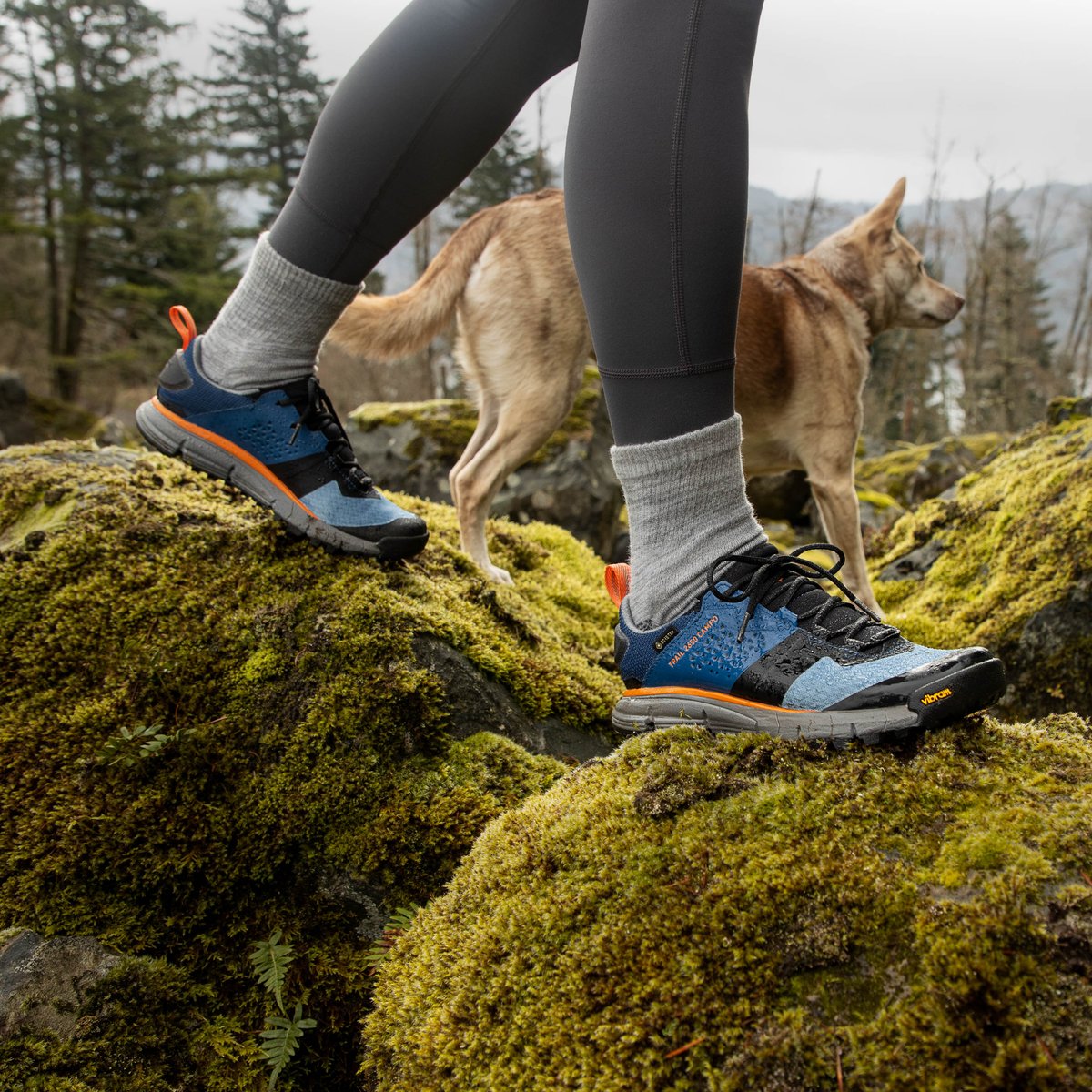Trail 2650 Campo GTX Blue/Orange | Danner